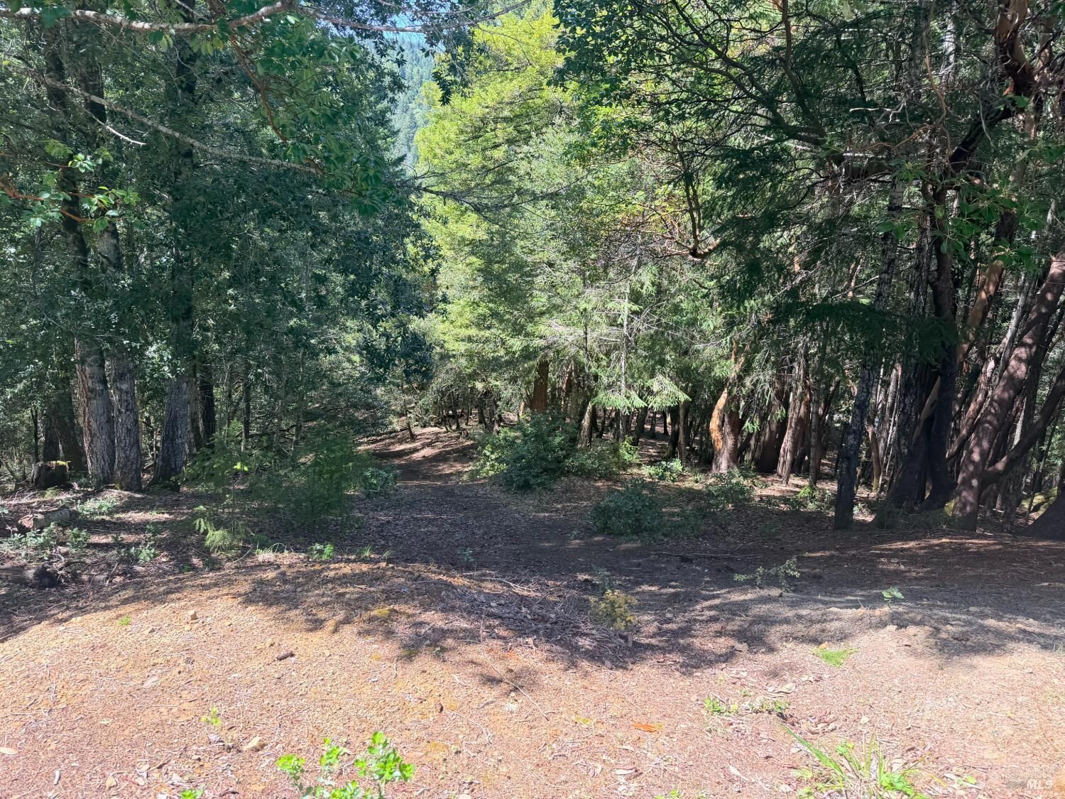 Property Photo:  24193 Willow Lane  CA 95490 