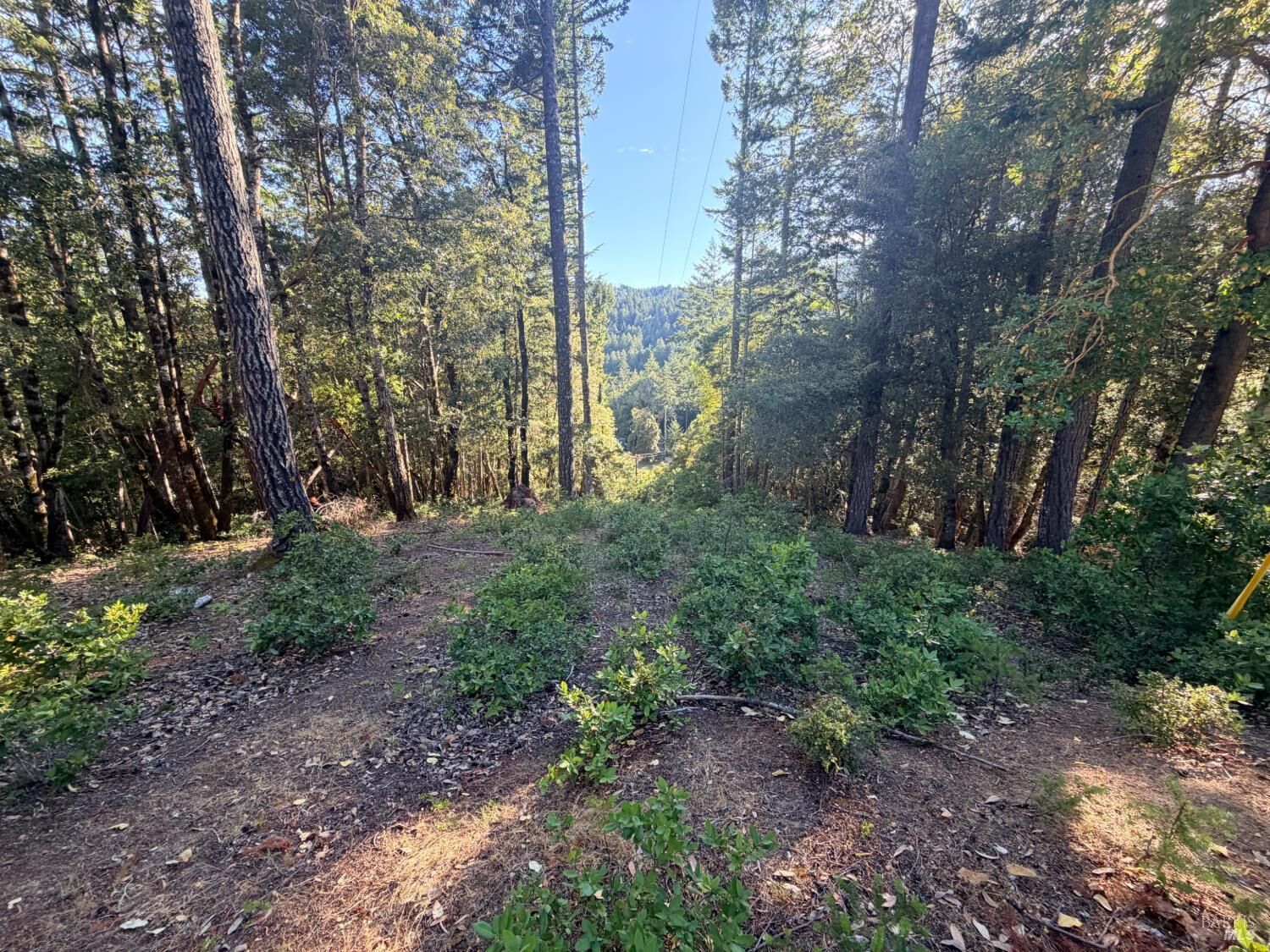 Property Photo: 24193 Willow Lane CA 95490