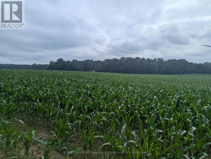 Property Photo:  4688 Godby Road  ON N0J 1T0 