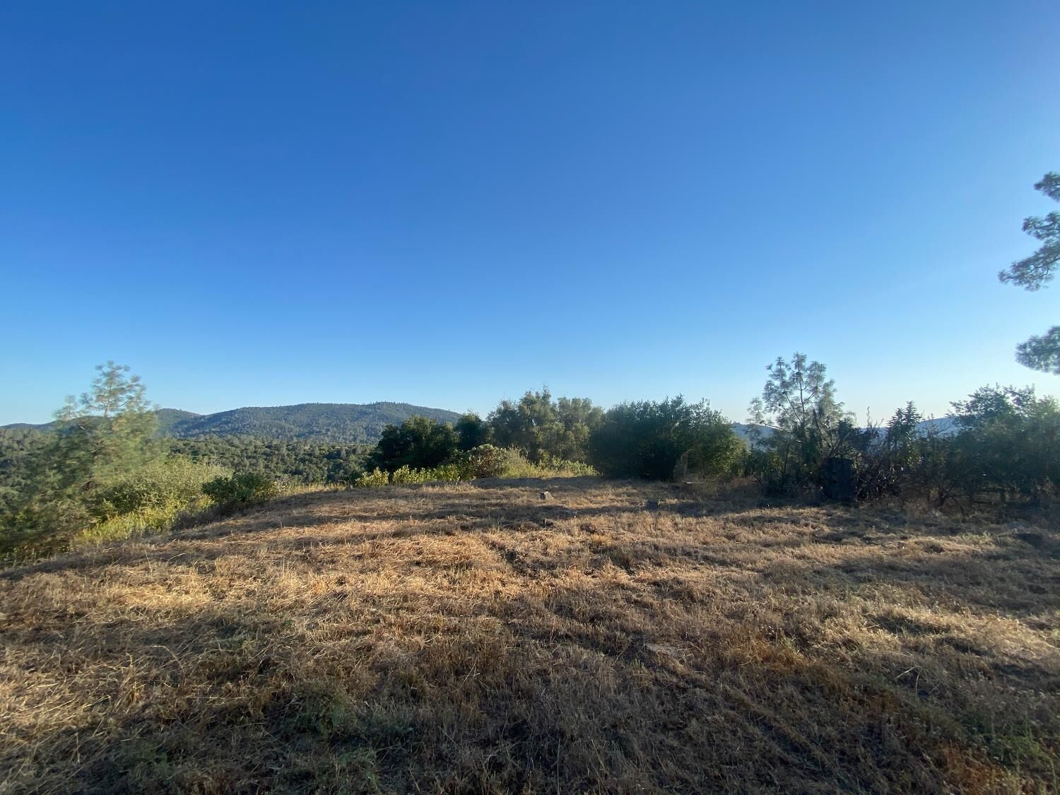 Property Photo: 53748 Dogwood Drive CA 93643
