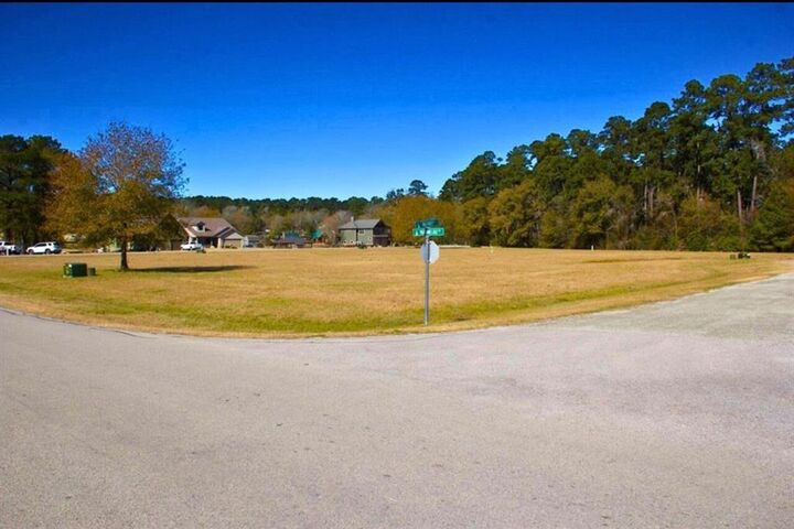 Property Photo: 1 Wild Forest Court TX 77340