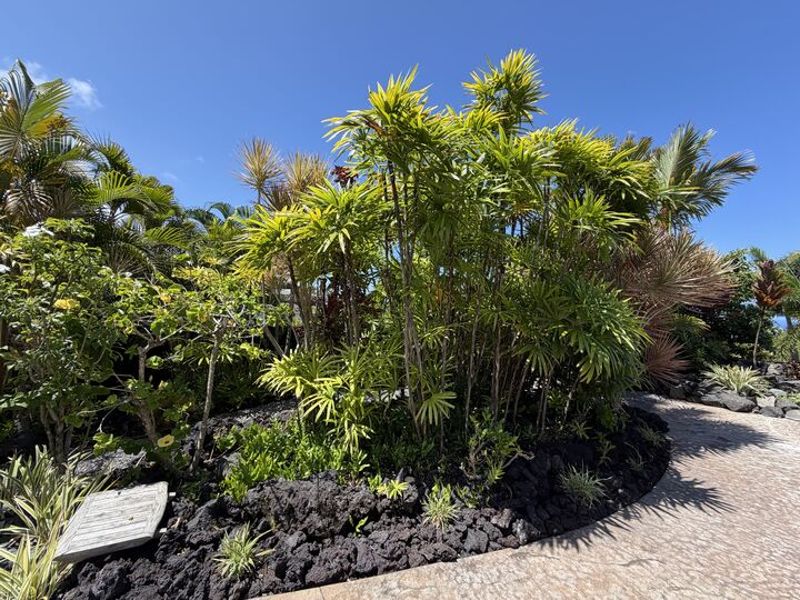 Property Photo: 77-464 Moeuhane Pl HI 96740