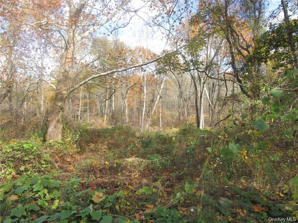 Property Photo:  3766 Foothill  NY 10547 