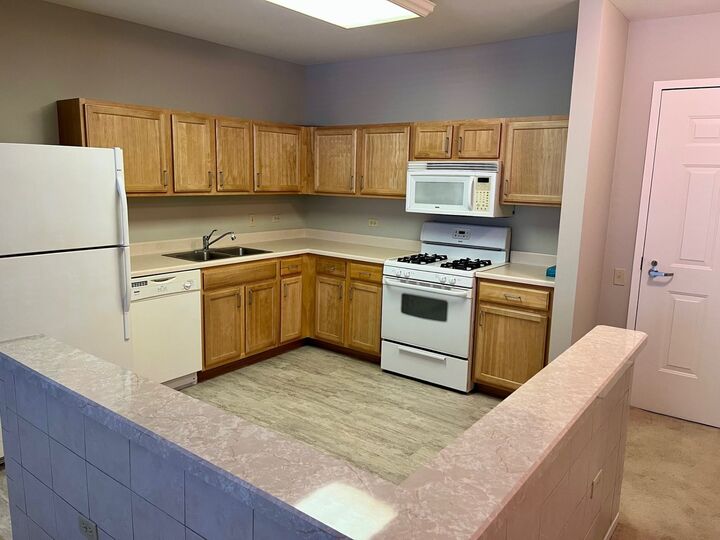 Property Photo: 6710 S Keating Avenue 201 IL 60629
