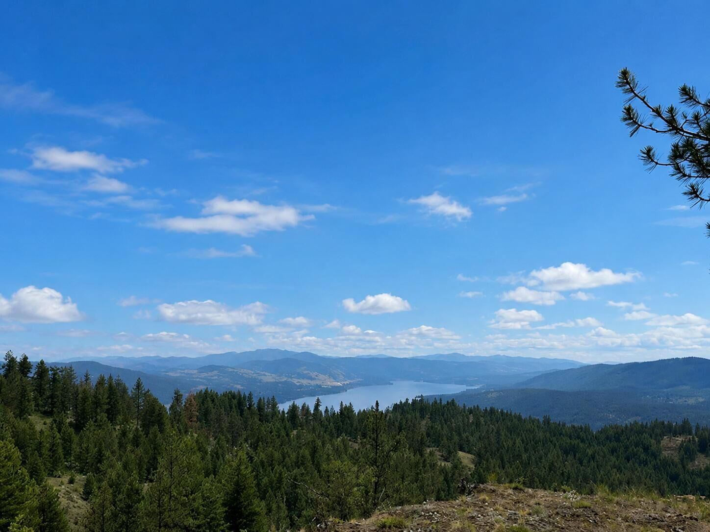 Property Photo: 4xx #L Morning Star Ln WA 99138
