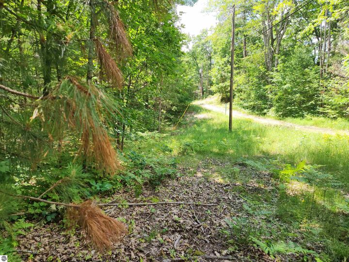 Property Photo: 000 Bradley MI 49646
