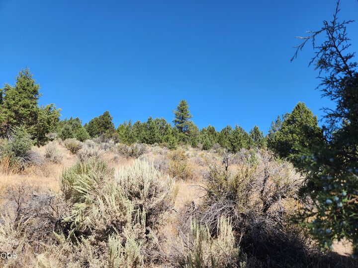 Property Photo:  Drews Rd 7  OR 97639 