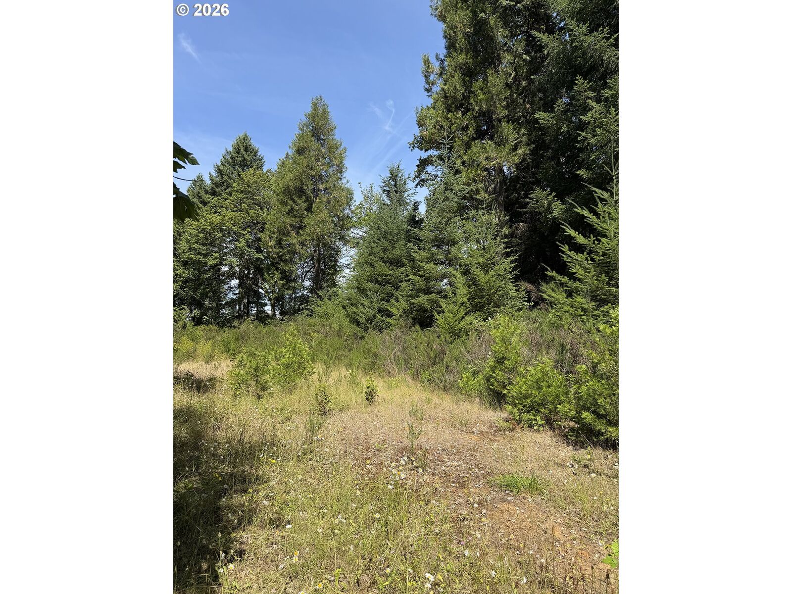 Property Photo: 0 Milky Way Dr OR 97435