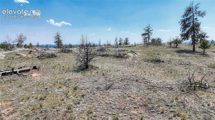 Property Photo:  617 Chateau Vista  CO 80816 