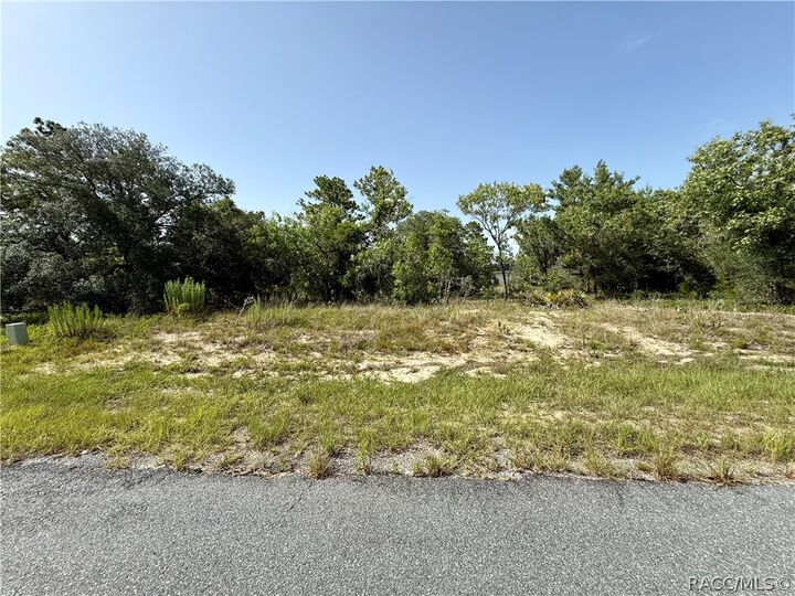 Property Photo: 3371 W Seahorse Lane FL 34433