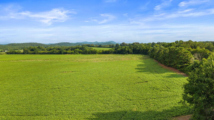 Property Photo: 1738 Highway 411 TN 37362