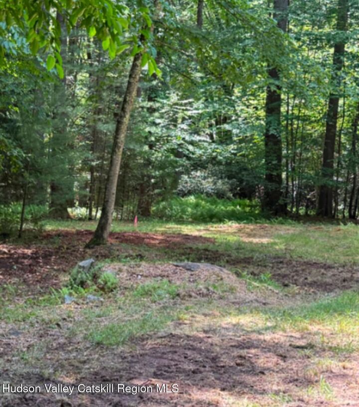 Property Photo: 143 Mountaindale NY 12435