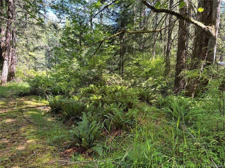 Property Photo:  5596 Munn Rd  BC V9E 1G7 