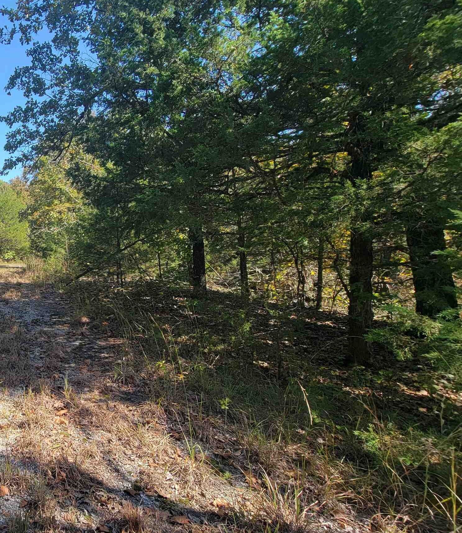 Property Photo: Part 16/2 Timberlane Drive AR 72542