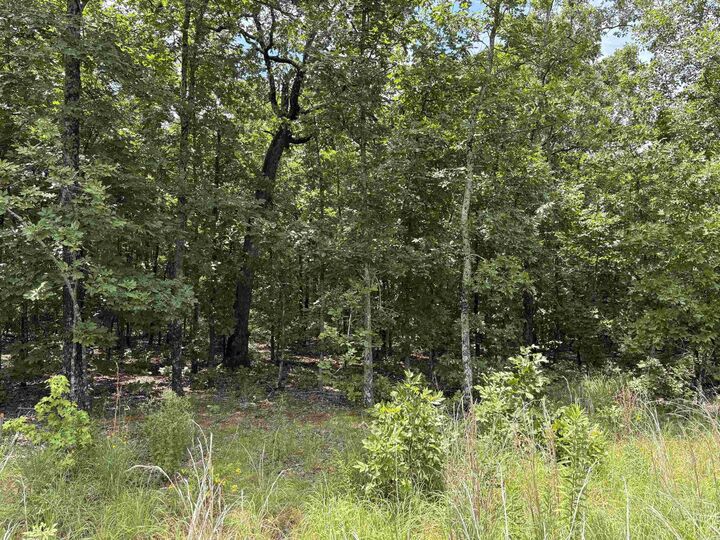 Property Photo: Rebecca Cove AR 72120