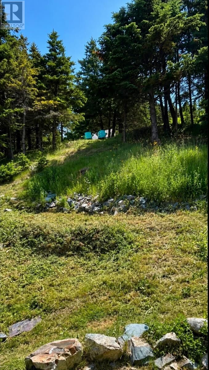 Property Photo: 90 Salmon Cove Road NL A0A 1W0