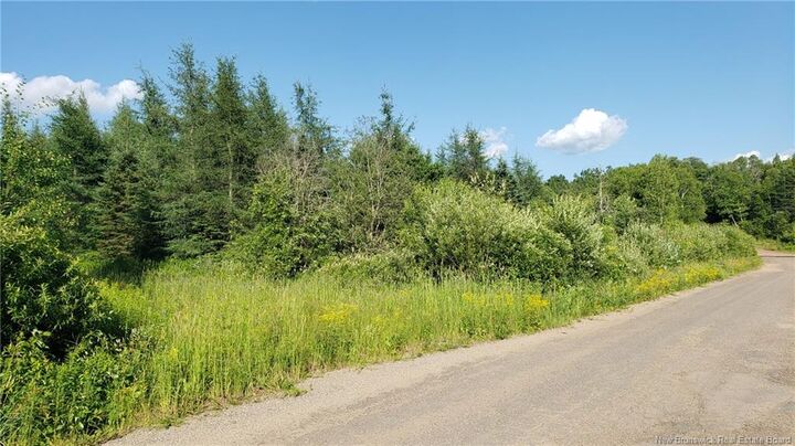 Lot Bunnell Road — photo 1