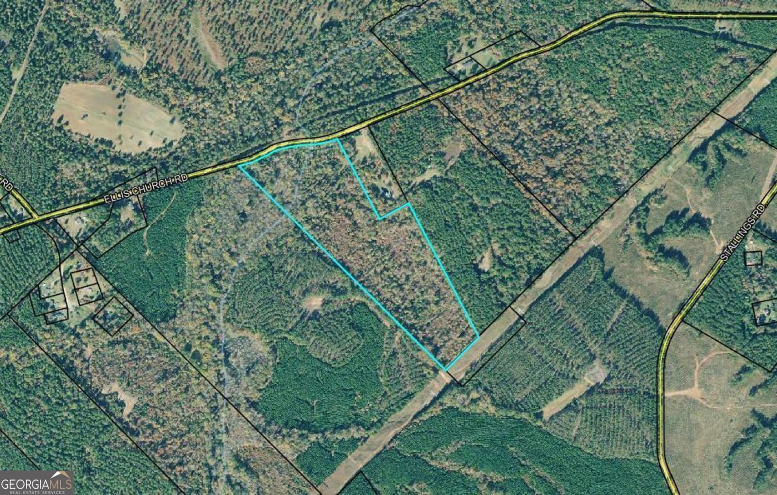Property Photo: 0 Ellis Church Road GA 31033