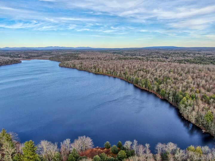 Property Photo:  Lena Road  NY 12777 