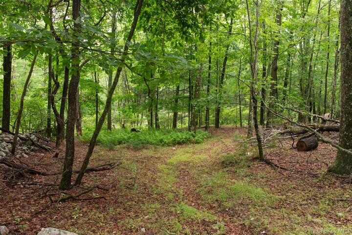 Property Photo: 3789 State Route 52 NY 12566