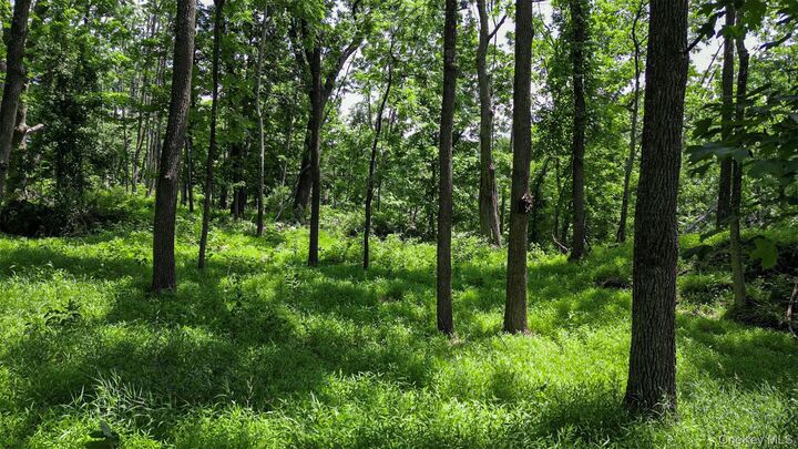 Property Photo:  Deer Pond Lot 2 Drive  NY 10990 