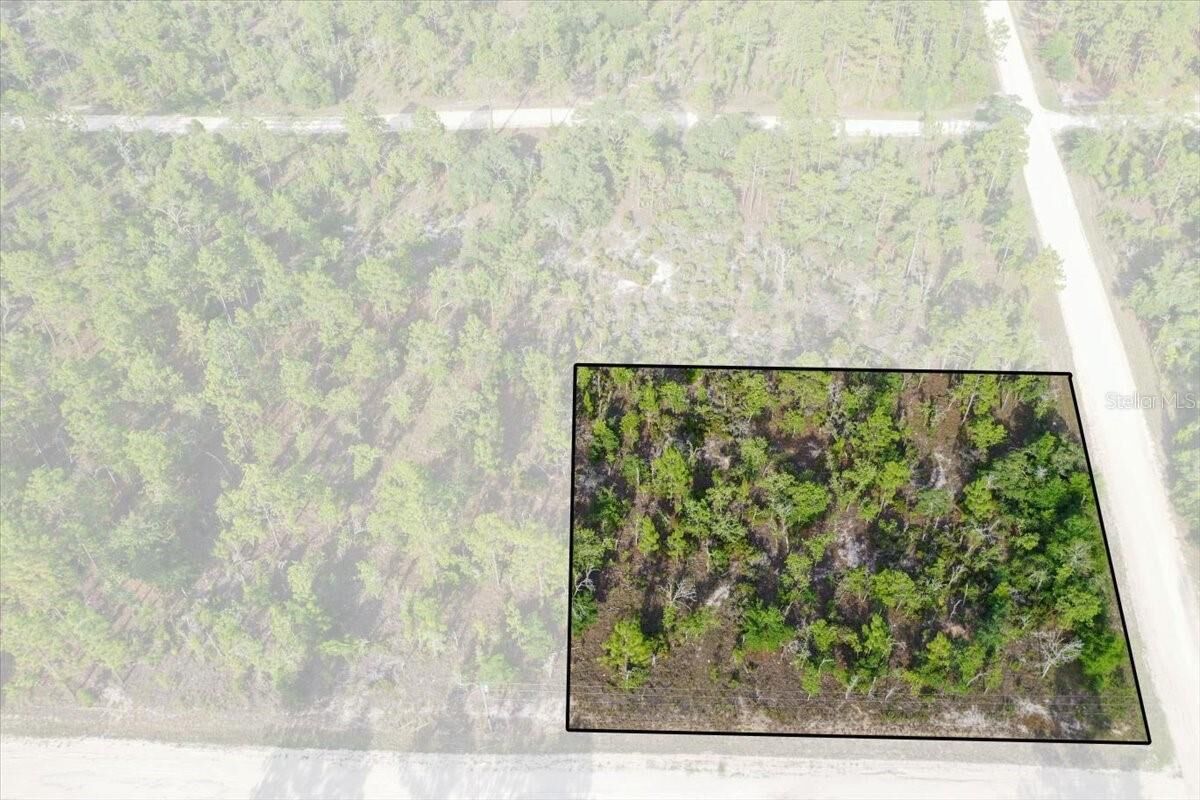Property Photo: 0000 NE 131 Terrace Lot 6 Terrace FL 32696