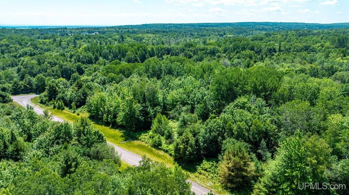 Property Photo:  Tbd Parcel M16 Applewood Drive  MI 49931 