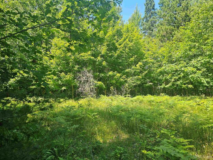 Property Photo:  Tbd Parcel M9 Applewood Drive  MI 49931 