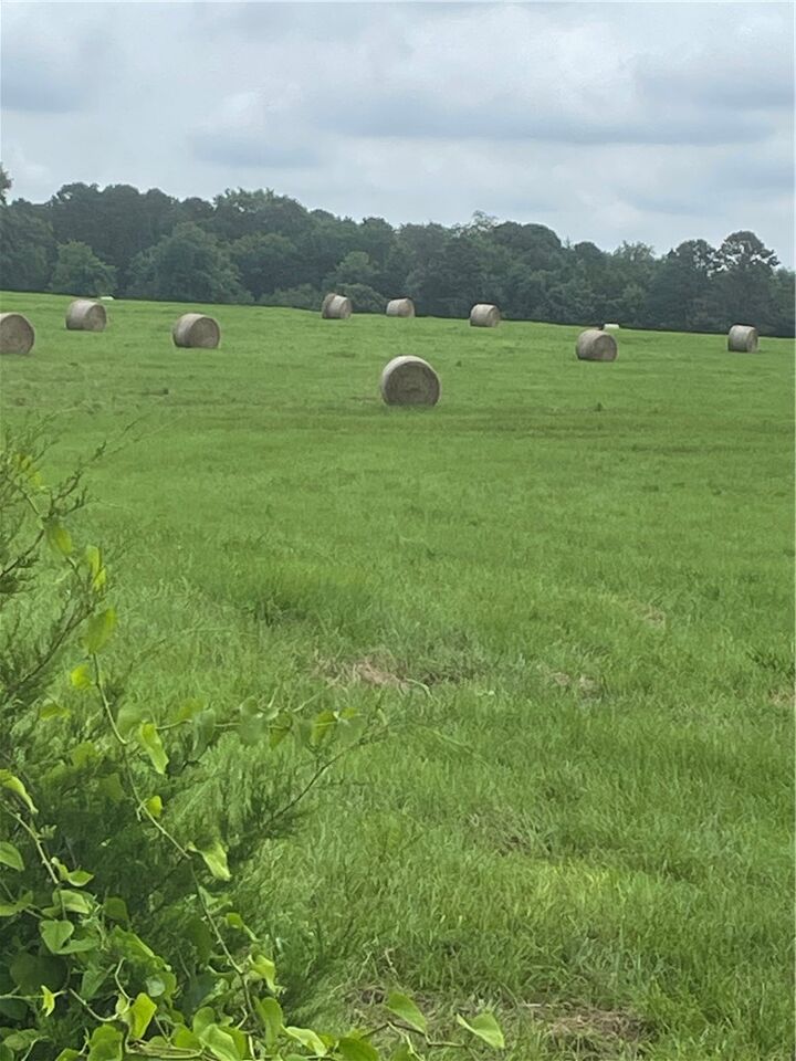 Property Photo: 40 Acres Vacant Land County Road 3411 AR 72830