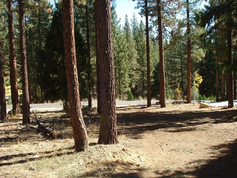 Property Photo: 357 Big Grizzly 4 CA 96122