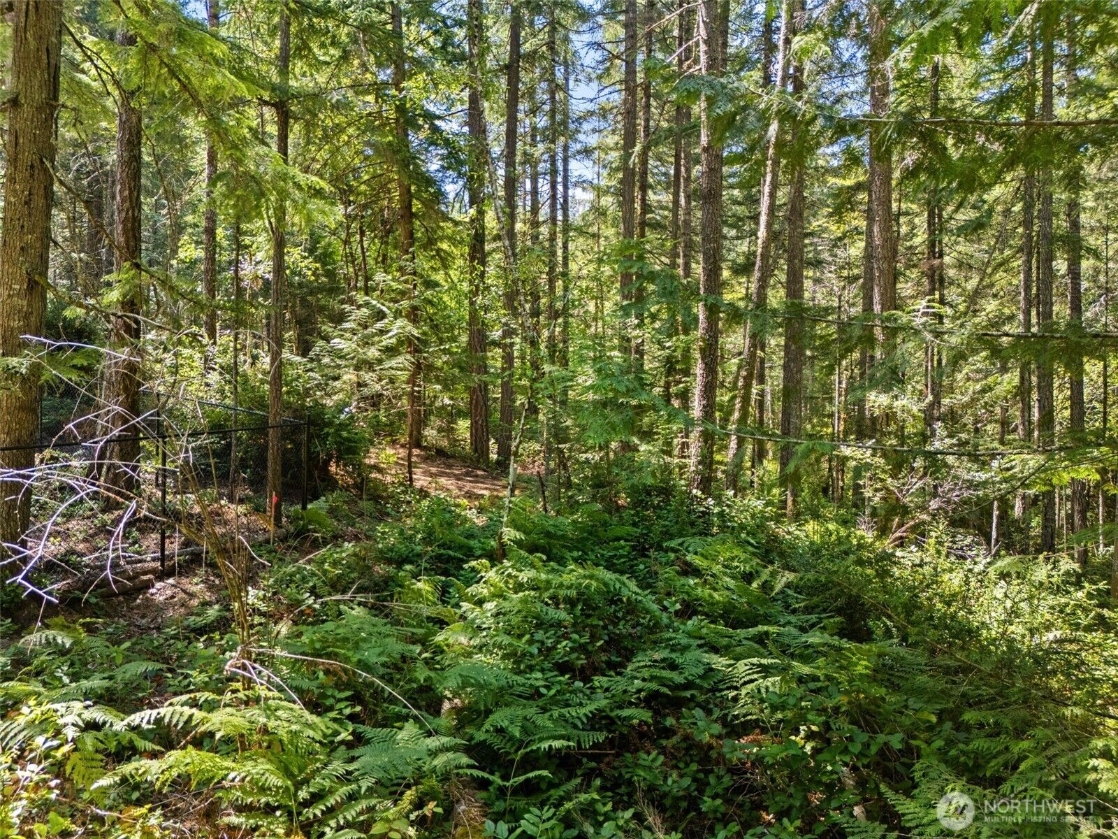 Property Photo: 0 Sp1354 E Glenwood Drive WA 98592