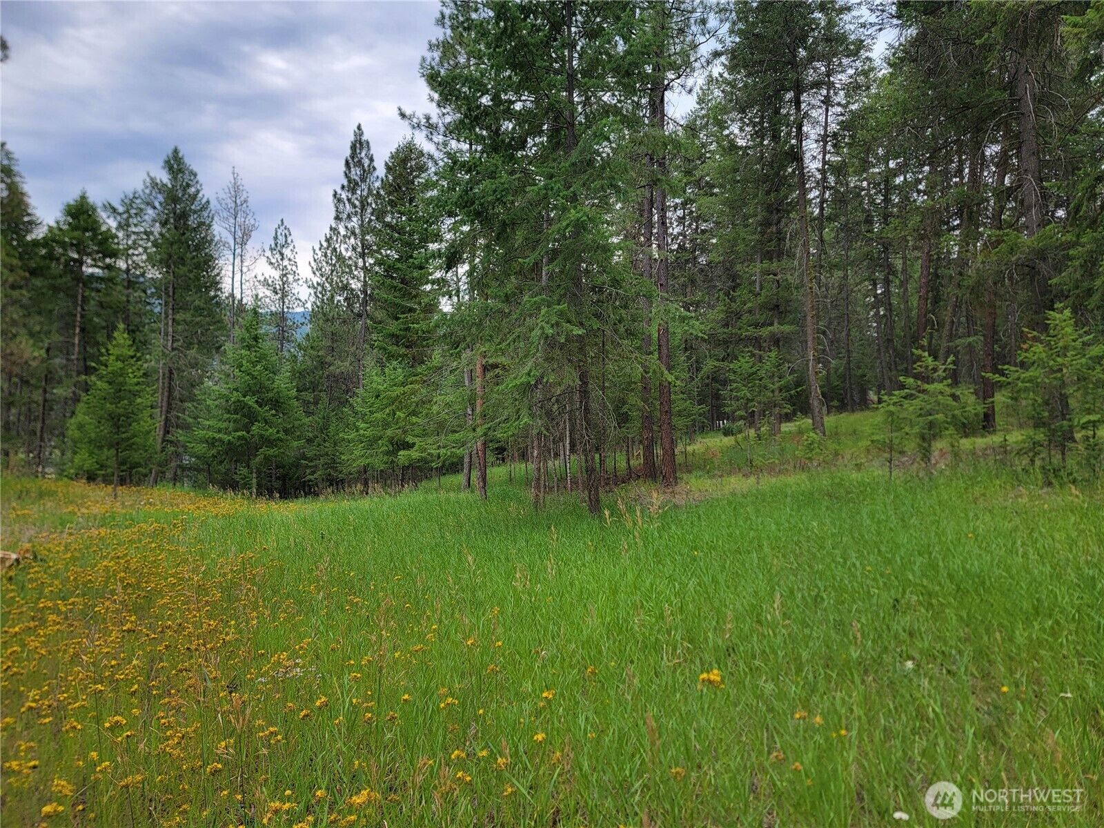 Property Photo: 40 Evergreen Drive WA 99118