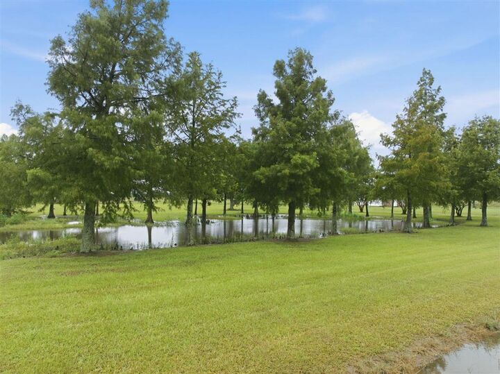Property Photo: 12135 Pousson Road LA 70647