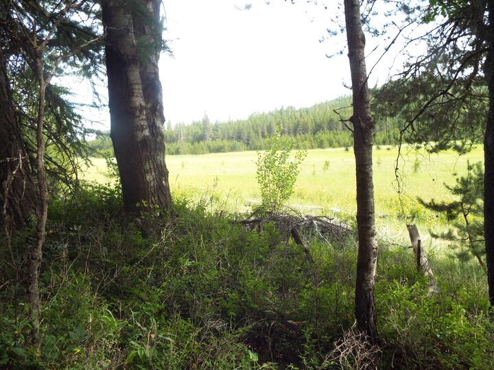 Property Photo: 307 Beaver Valley Rd WA 99156