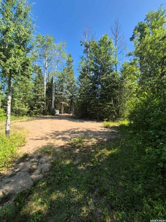 Property Photo:  133 Birchwood Avenue  SK S0J 0Y0 