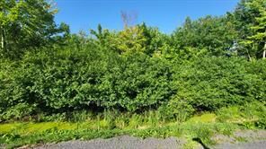 Lot 7 Plan 246 Tolmies Corners Road — photo 1