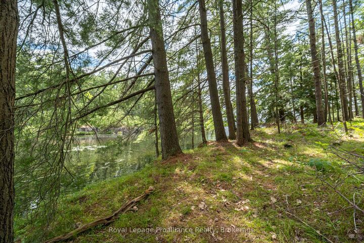 Property Photo:  2 Wao Kasshabog Lake N/A  ON K0L 2H0 