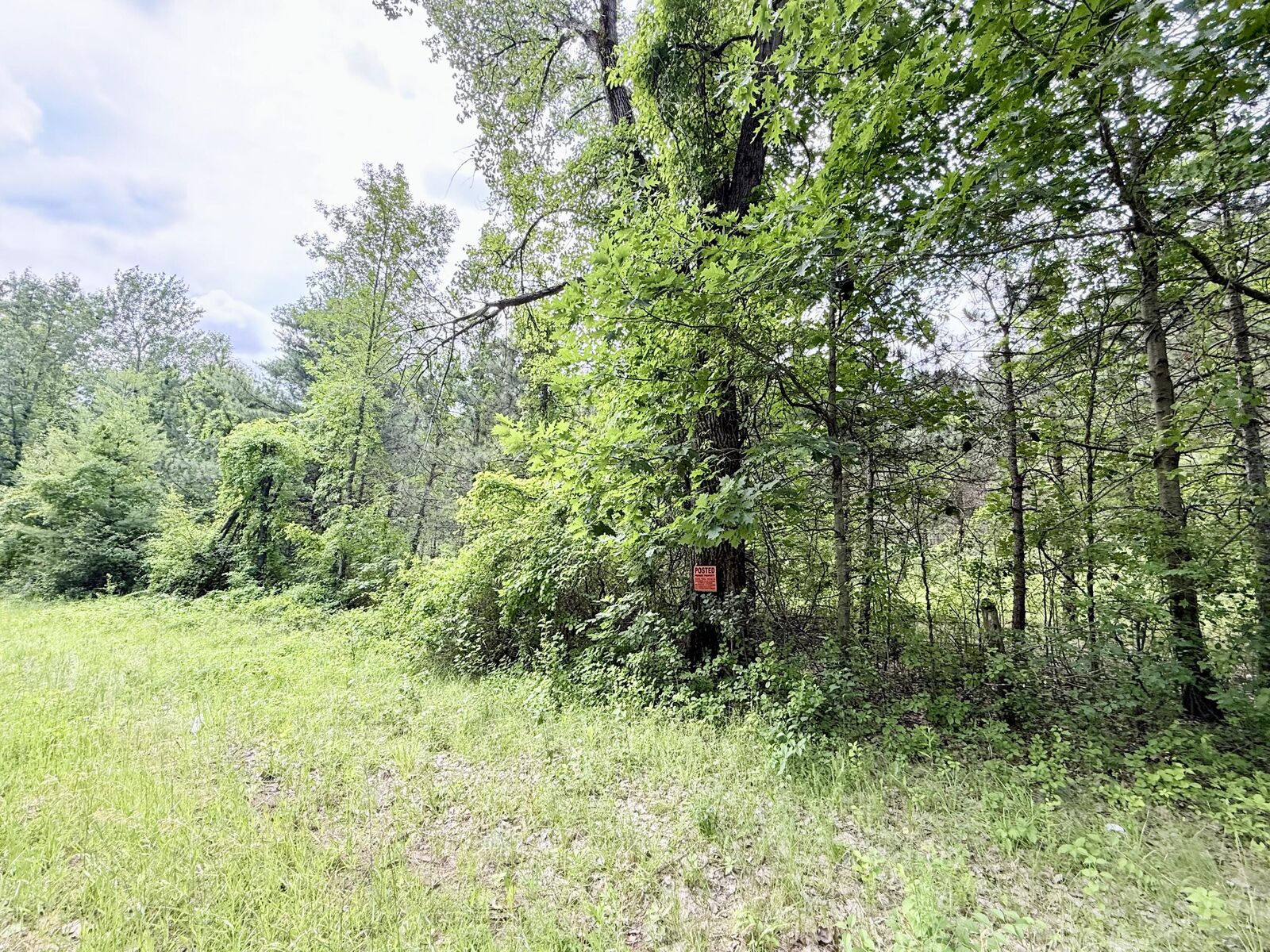 Property Photo: 0 Chasm Road Lot 5 NY 12944
