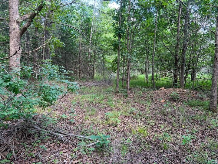 Property Photo:  501 Spoon Drive  AR 72512 