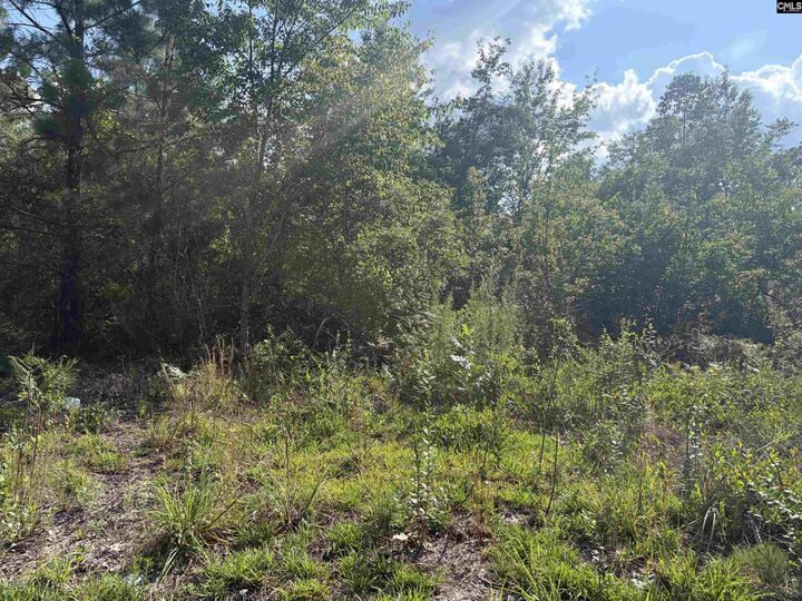 Property Photo: 0 Valley Stream SC 29070