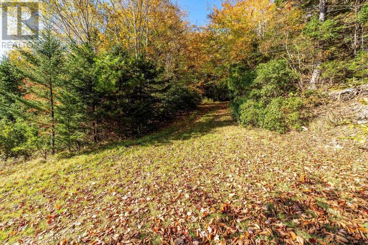 Property Photo:  85 Bartlett Lake Lane  NS B0W 1M0 