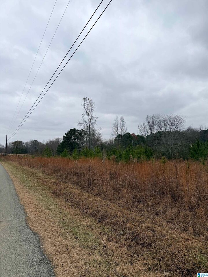 Property Photo:  Lazy Y Road 0  AL 35079 