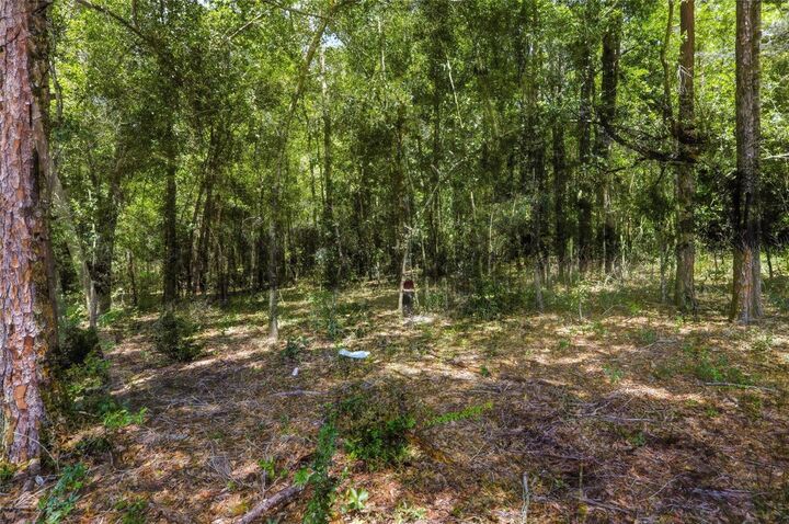 Property Photo: Centennial Road FL 33525