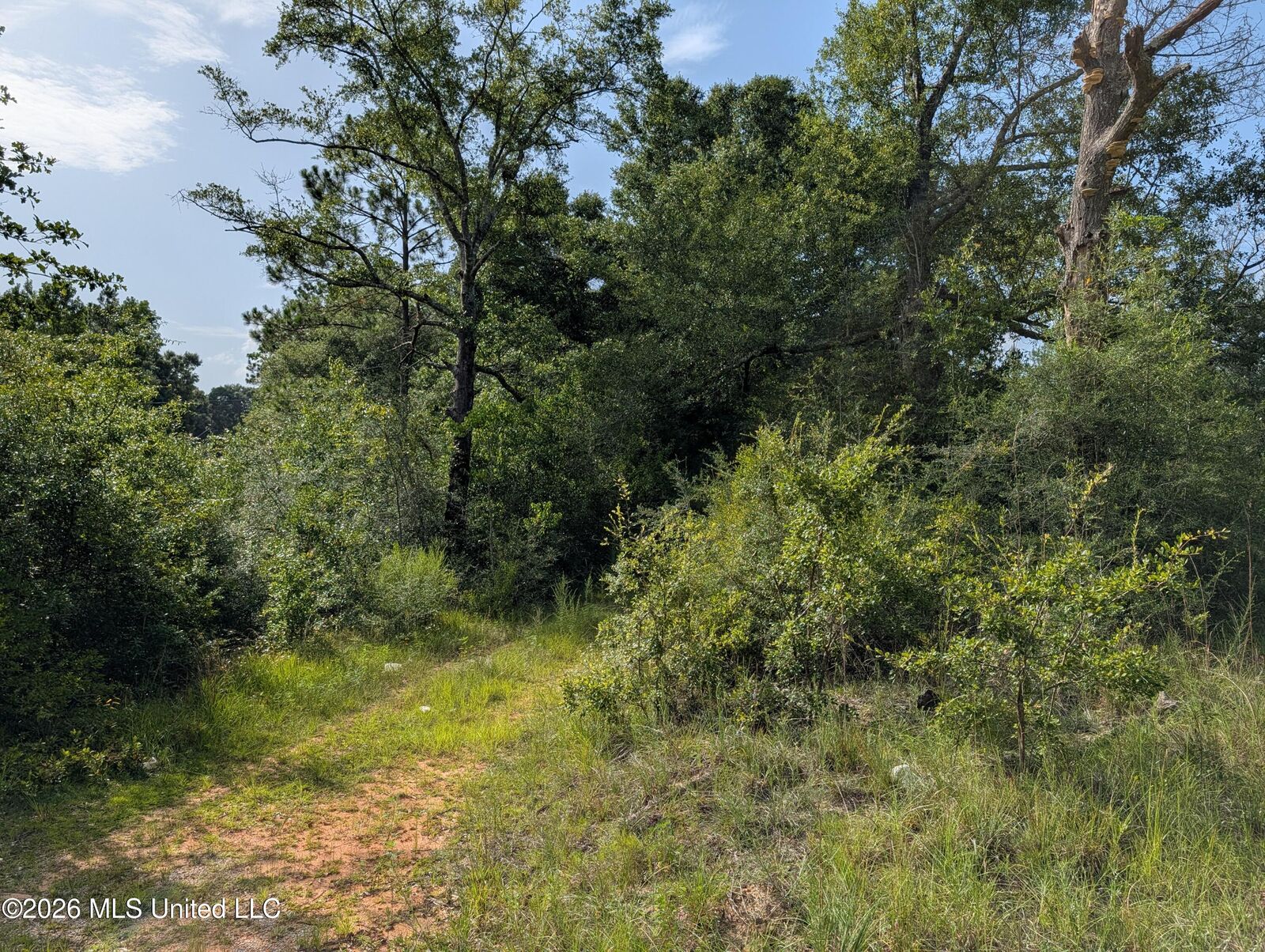 Property Photo:  148 Pepper Lane  MS 39452 