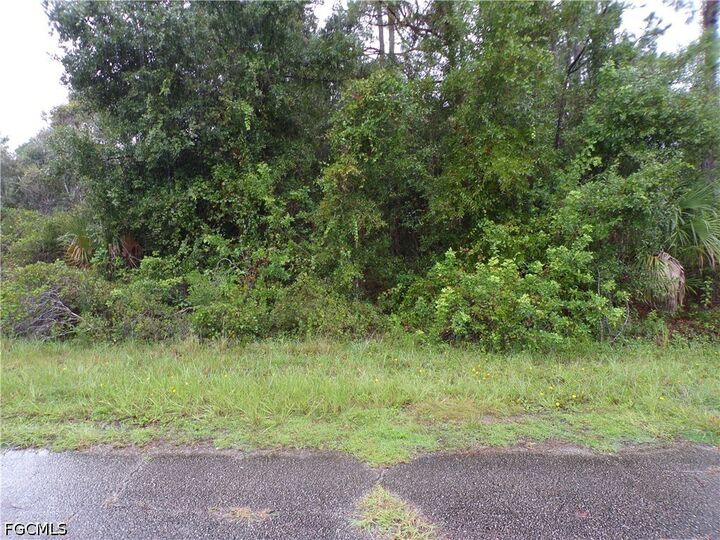 Property Photo: Nocturn Street FL 34288