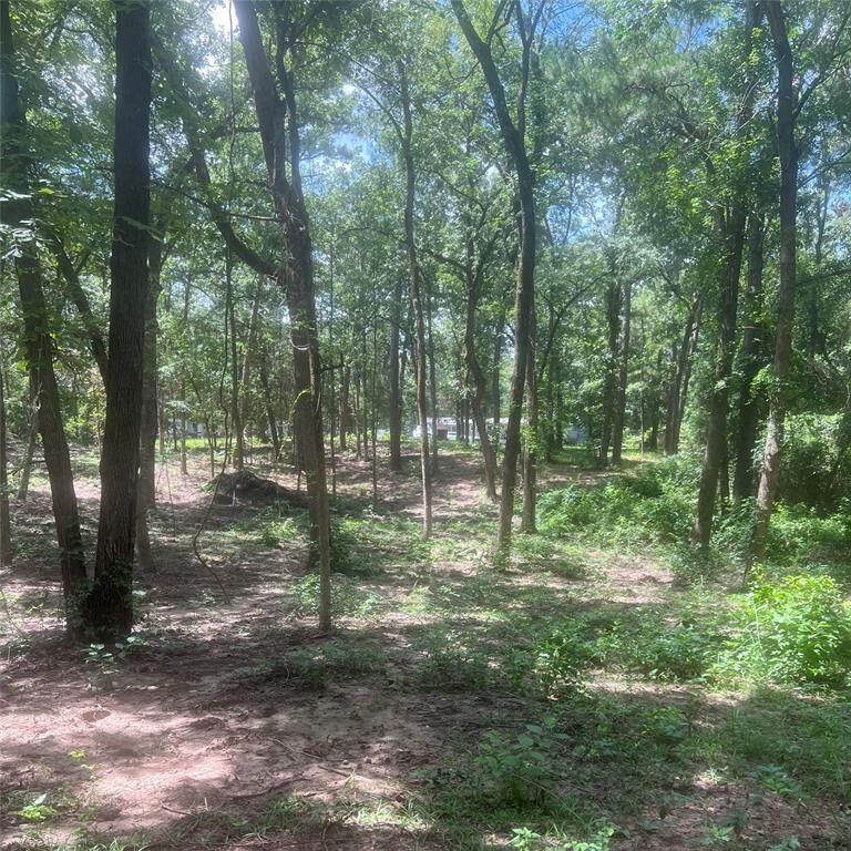 Property Photo: Tbd Azalea Lane TX 75457