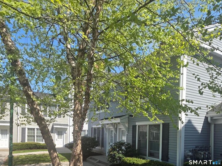 Property Photo:  41 Fairfield Avenue  CT 06902 