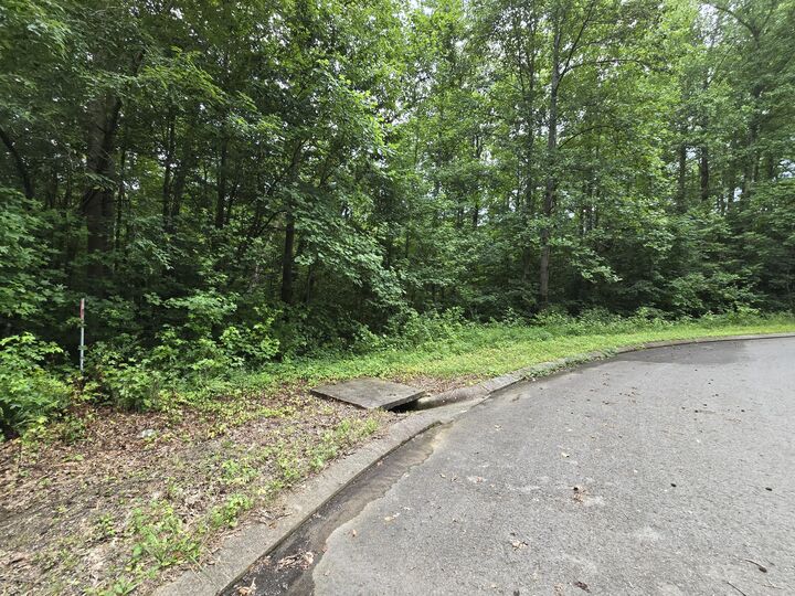 Property Photo:  Lot 133 Lower Brow Road  TN 37327 