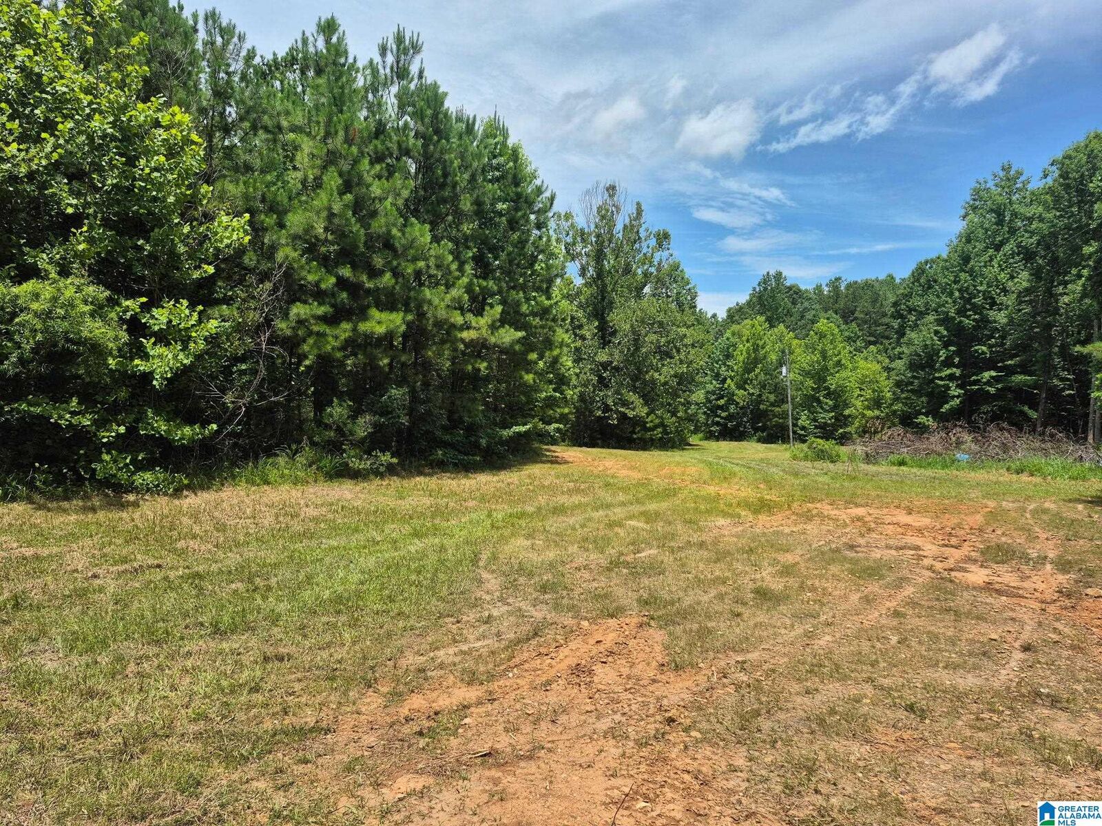 Property Photo:  0 County Road 928  AL 36258 