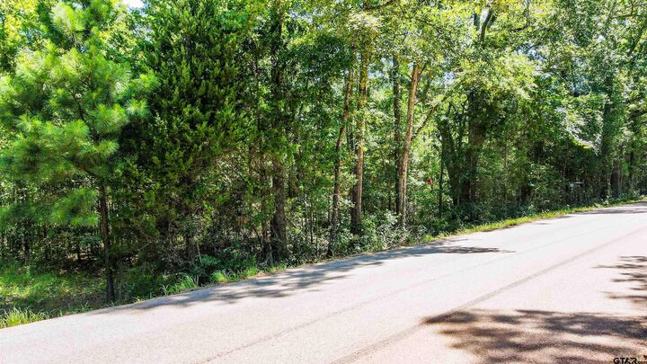 Property Photo:  Tbd S Fm 778 / Cr 3880  TX 75773 